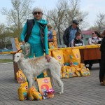 Borzoi Tsarski Safia