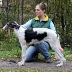 Borzoi Tsarski Knyaginya