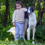 Borzoi Tsarski Koldunia